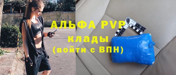 СК Алзамай
