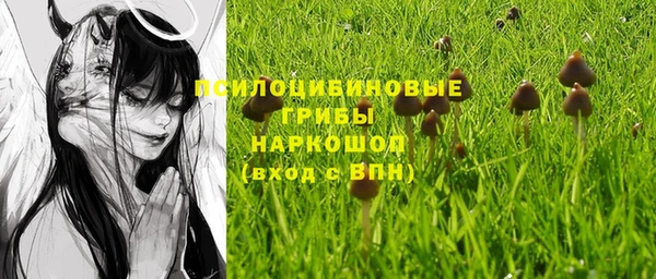 не бодяженный Аркадак